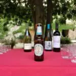 Cerveza Rosa Blanca