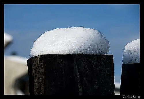Bola de Nieve