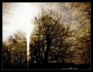 Contraluz al atardecer en invierno