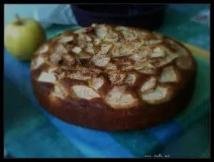 Bizcocho, fotografía de cocina