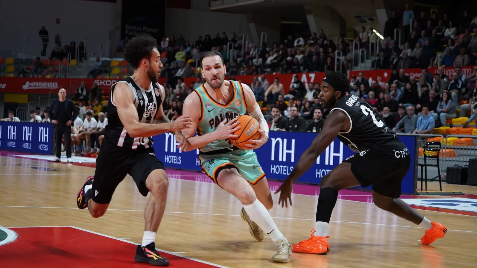 La permanencia del Palmer Basket en Primera FEB: Umbrales, calendario y la magia del «Average»