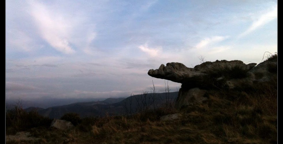 Roca