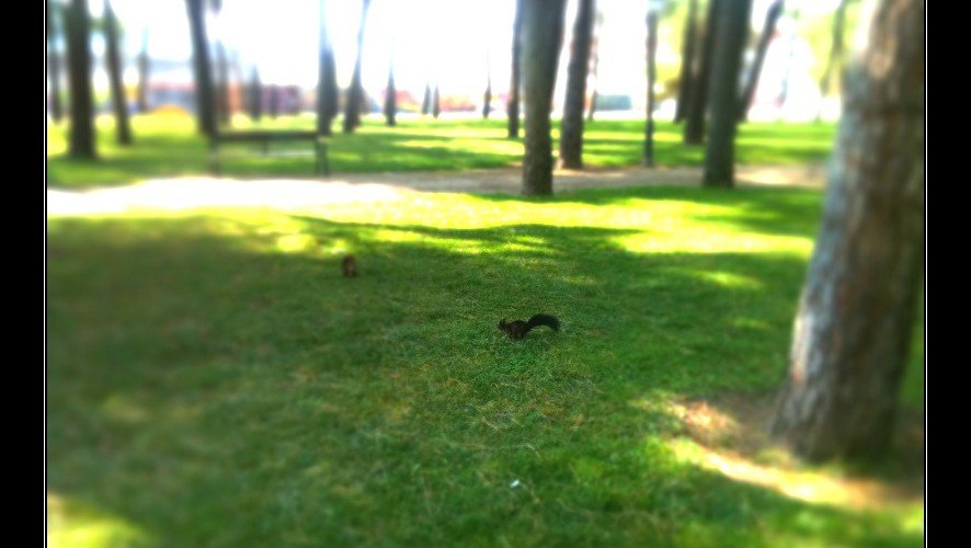 Parque